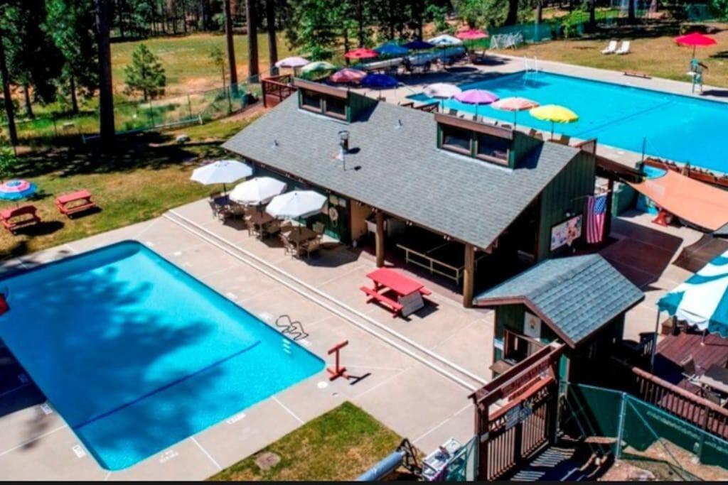 Cedar Oasis - Pet Friendly Cabin w Fireplace, Games and Wifi - 5 min to Big Trees view 4