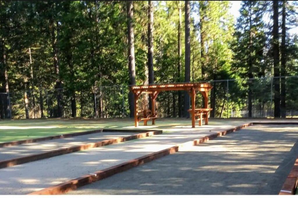 Cedar Oasis - Pet Friendly Cabin w Fireplace, Games and Wifi - 5 min to Big Trees view 5