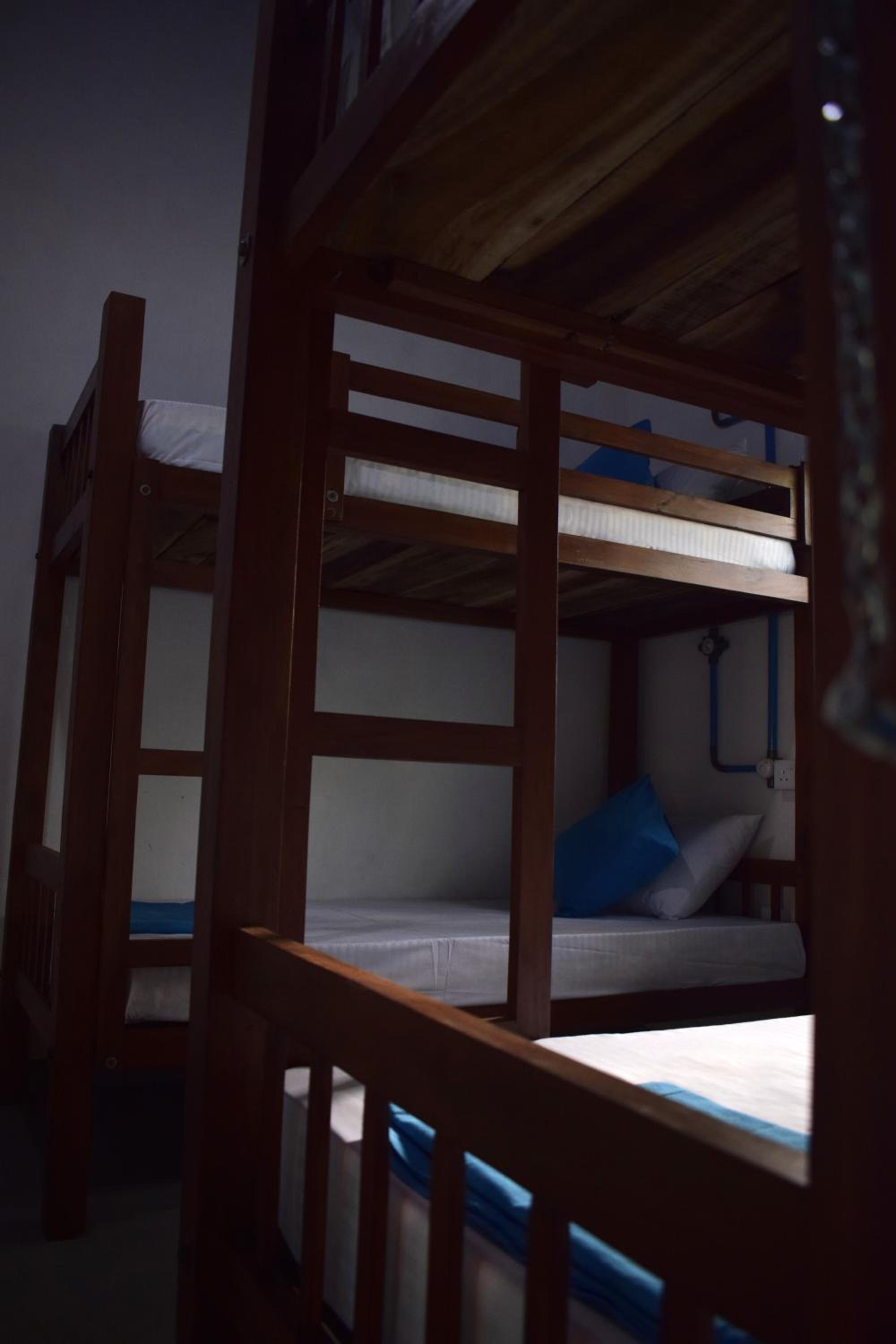 Chill House Hostel, photo 15