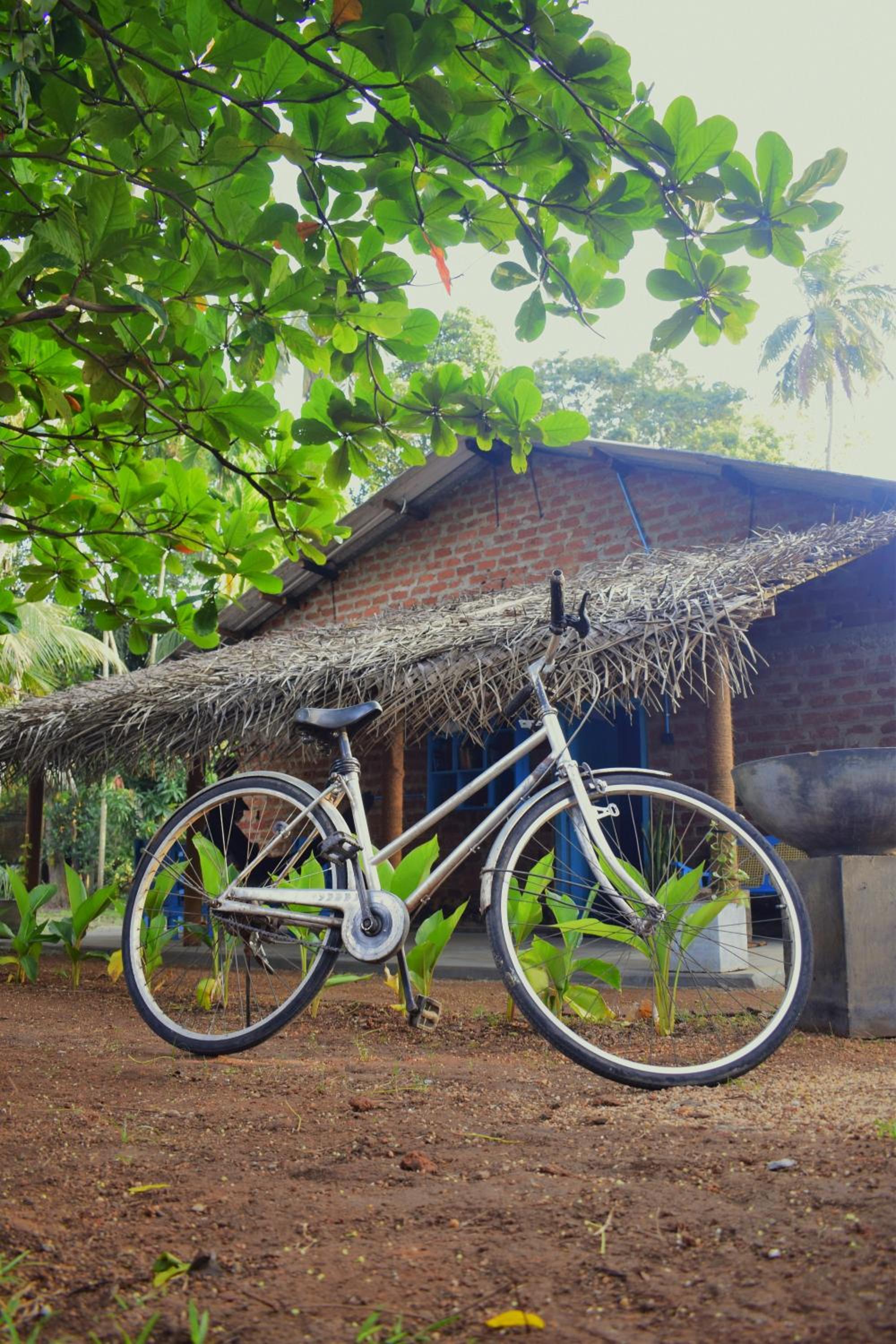 Chill House Hostel, photo 67