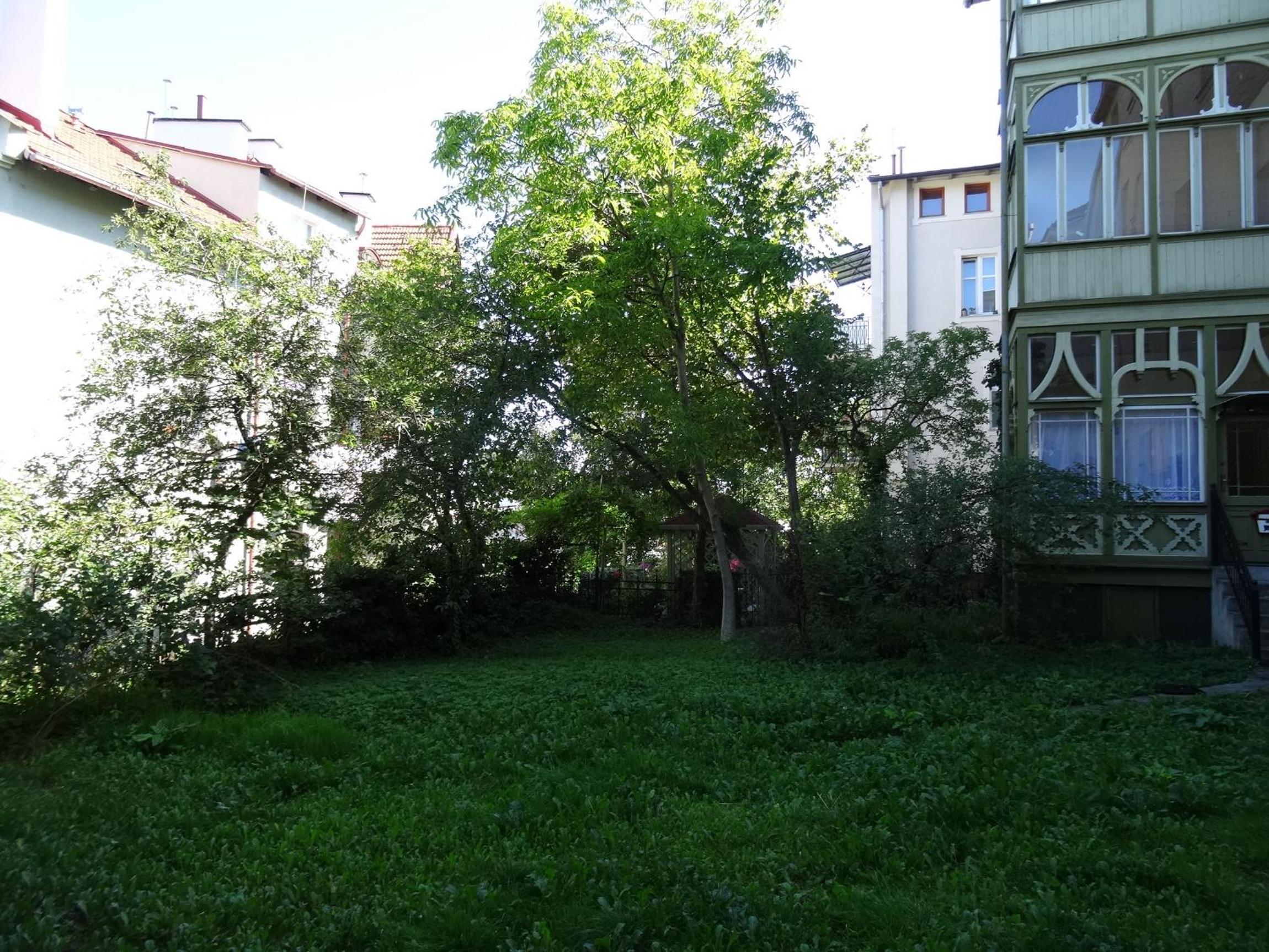 Casa Di Pinokio