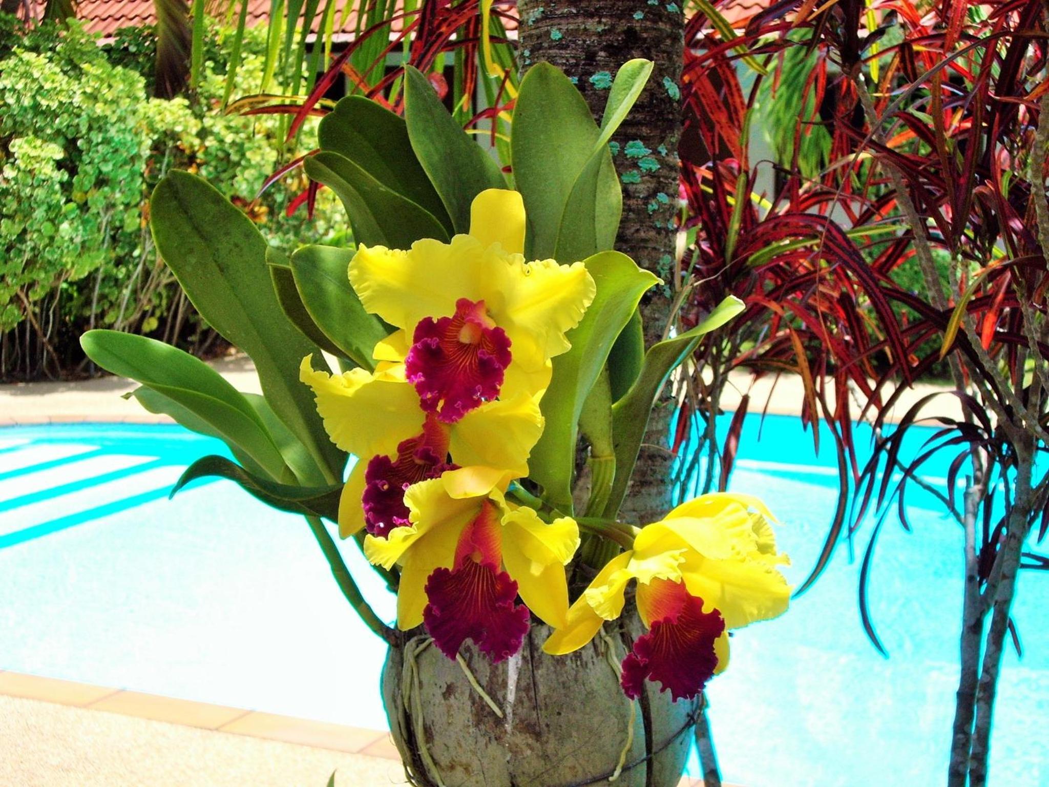 The Golddiggers Resort