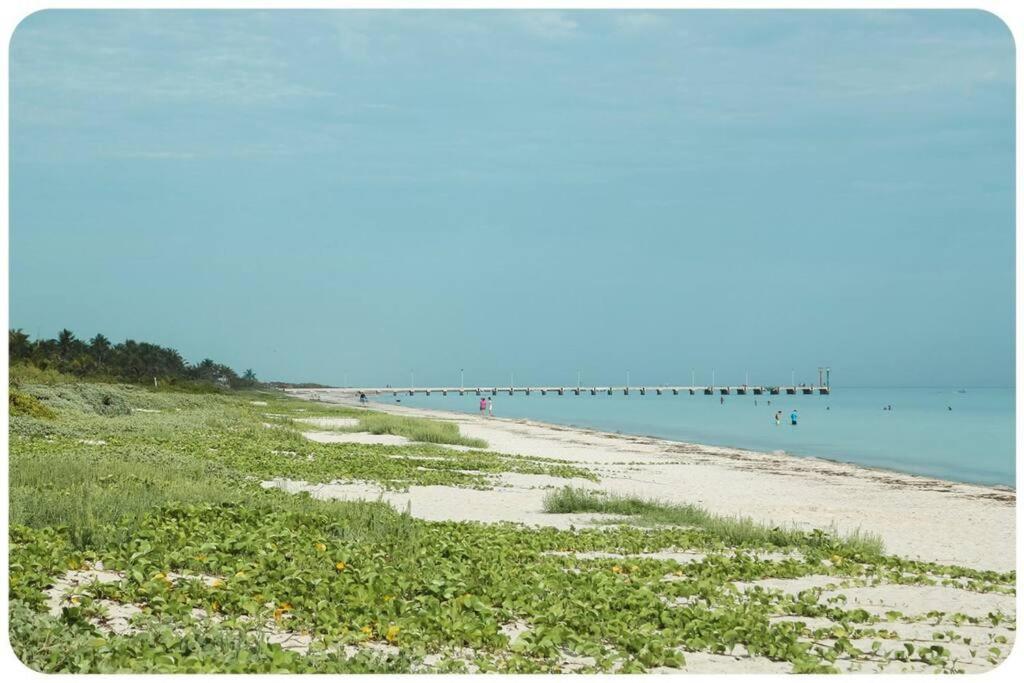 Photo 40