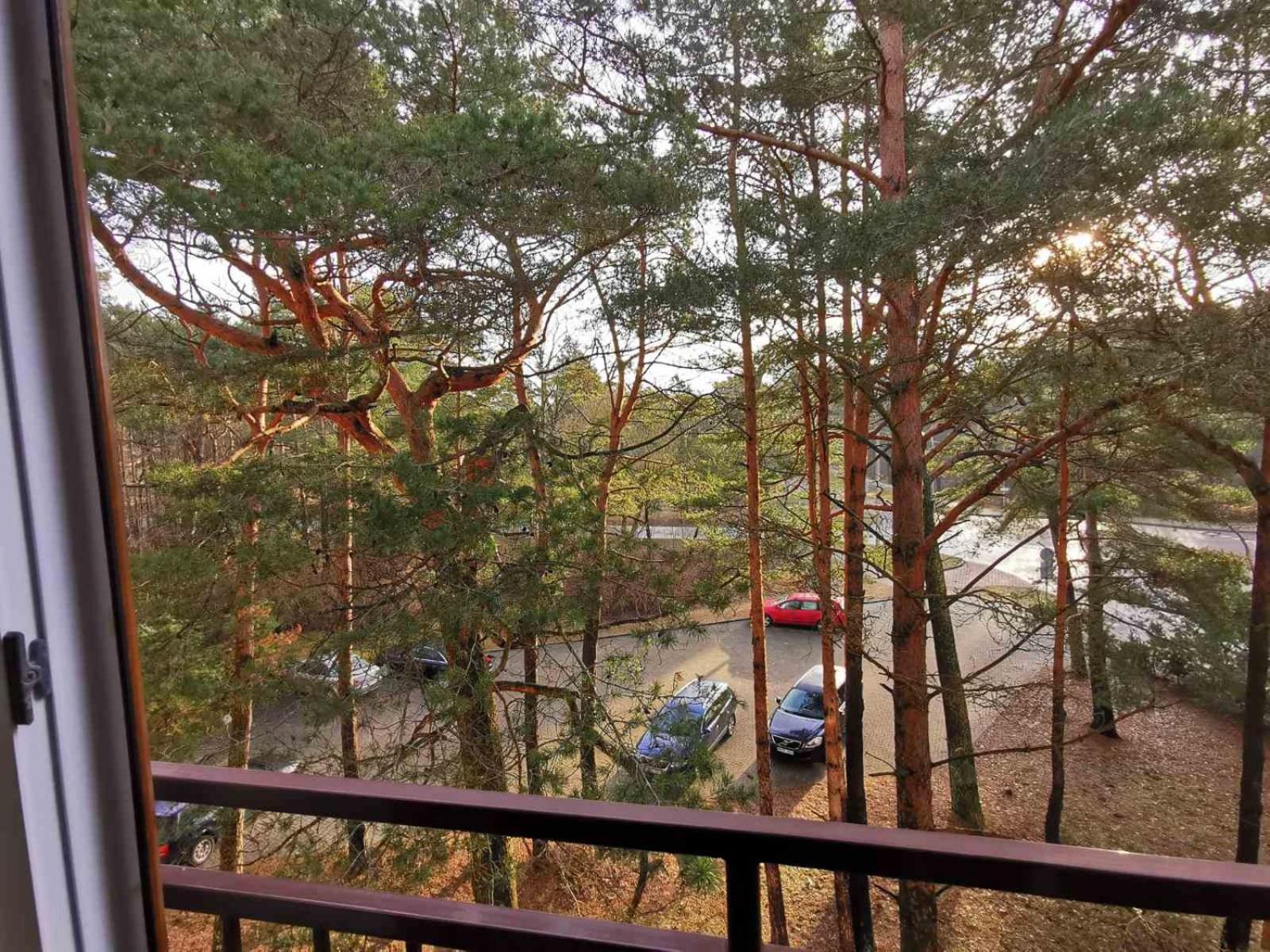 TARP PUŠŲ - jaukūs apartamentai Palangoje, Vanagupėje