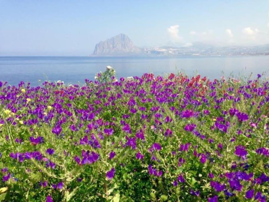 Villa sul golfo di Bonagia