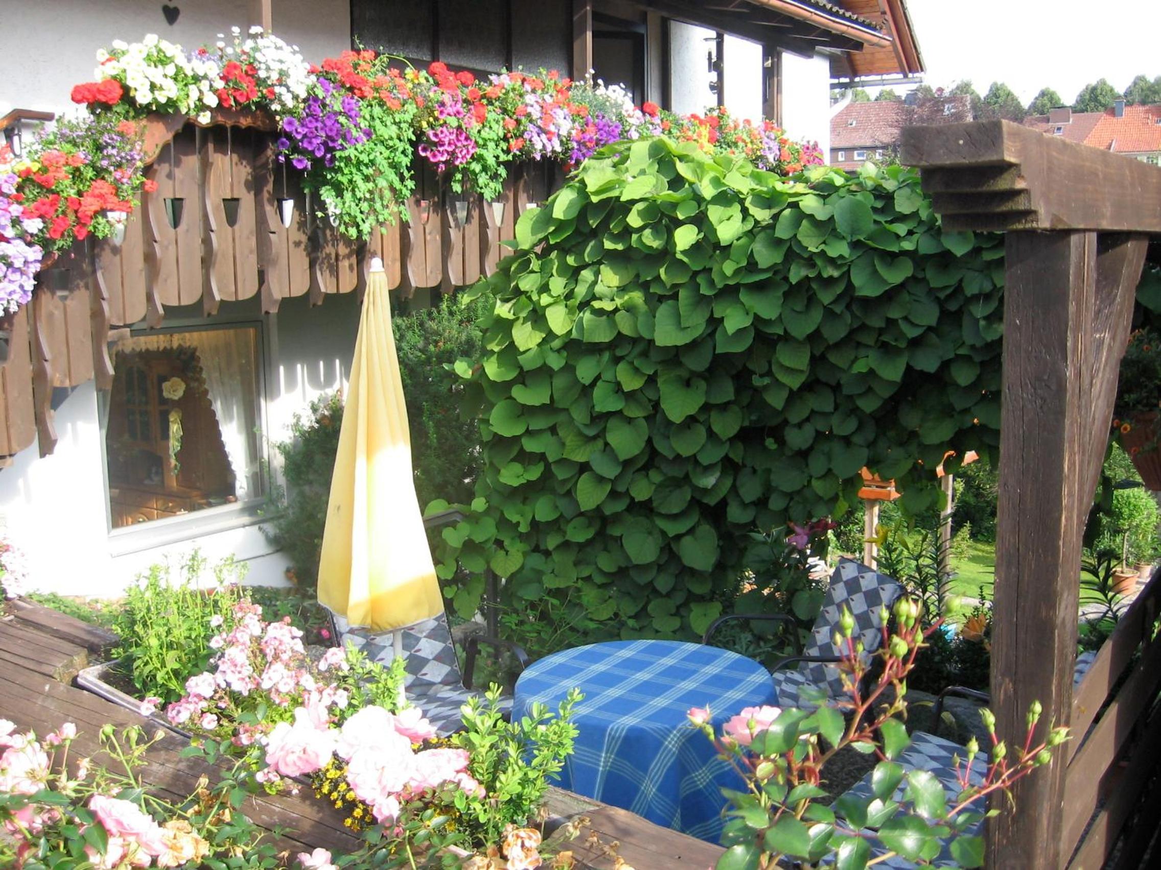 Apartmenthaus - Haus am Schultal,