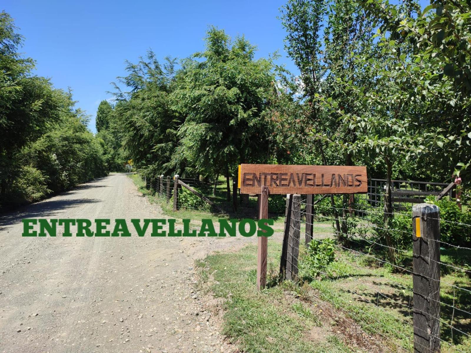 Entreavellanos cabañas