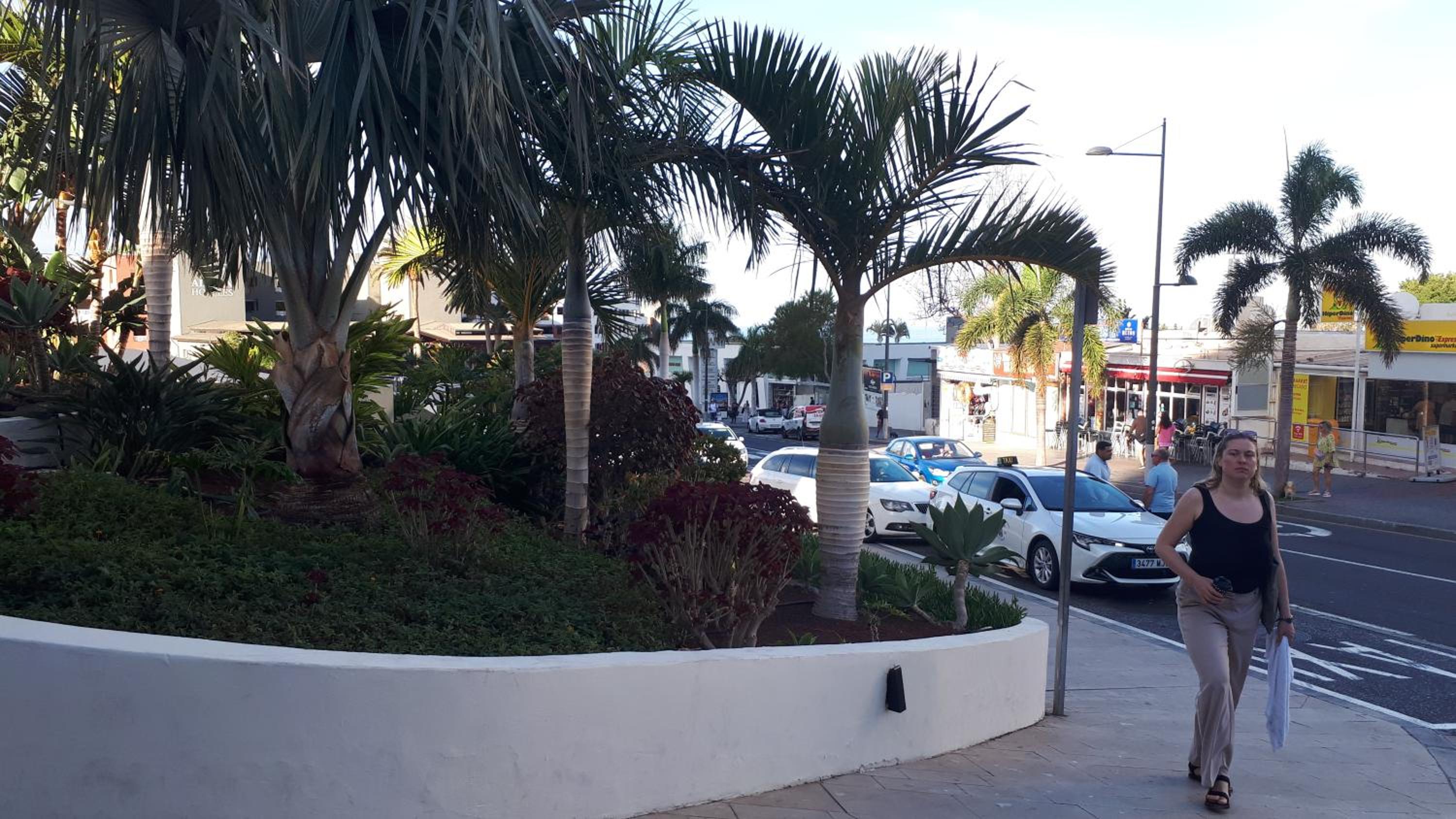 Sunset Ocean View Apartment - Playa Paraiso