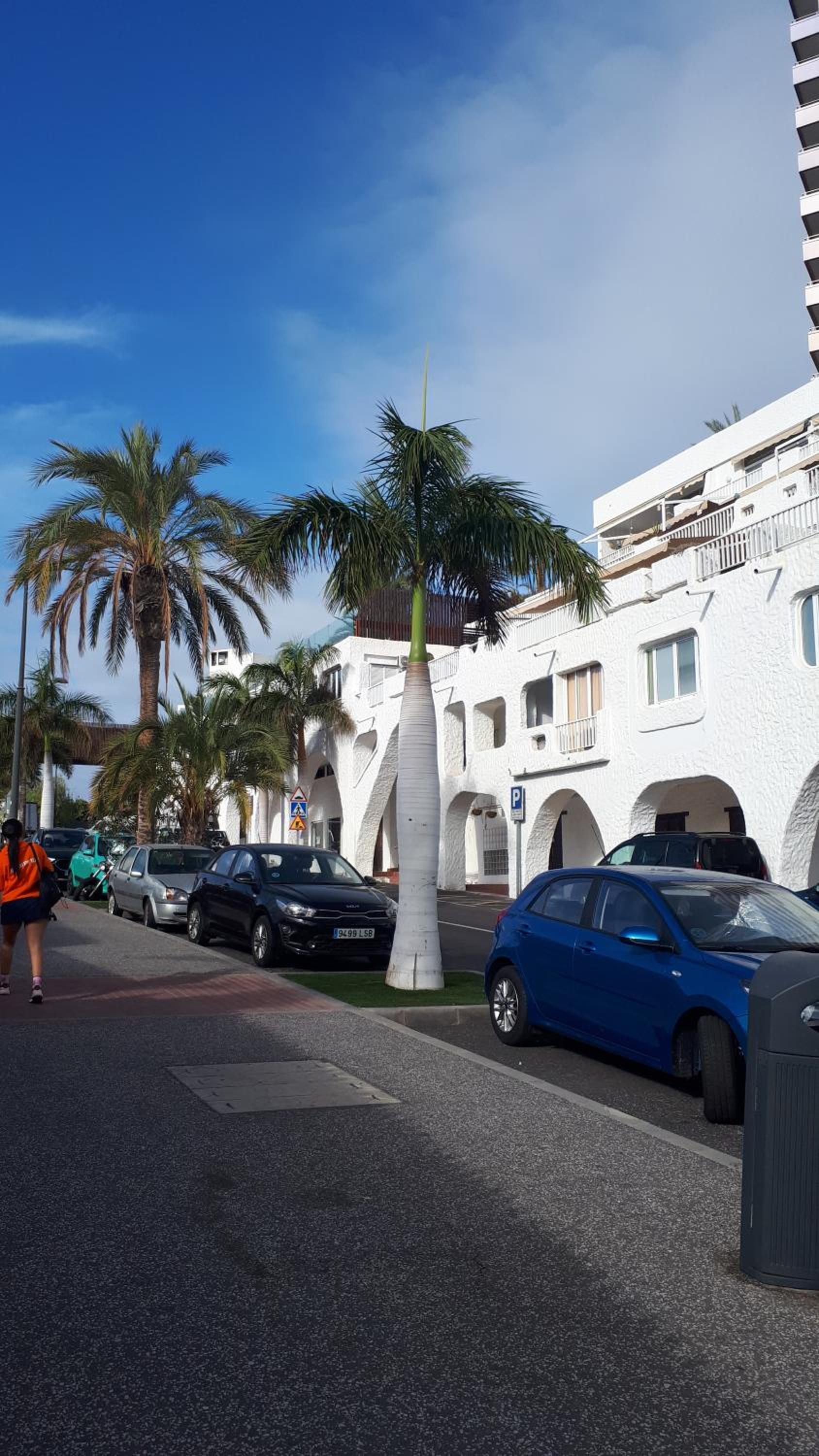 Sunset Ocean View Apartment - Playa Paraiso
