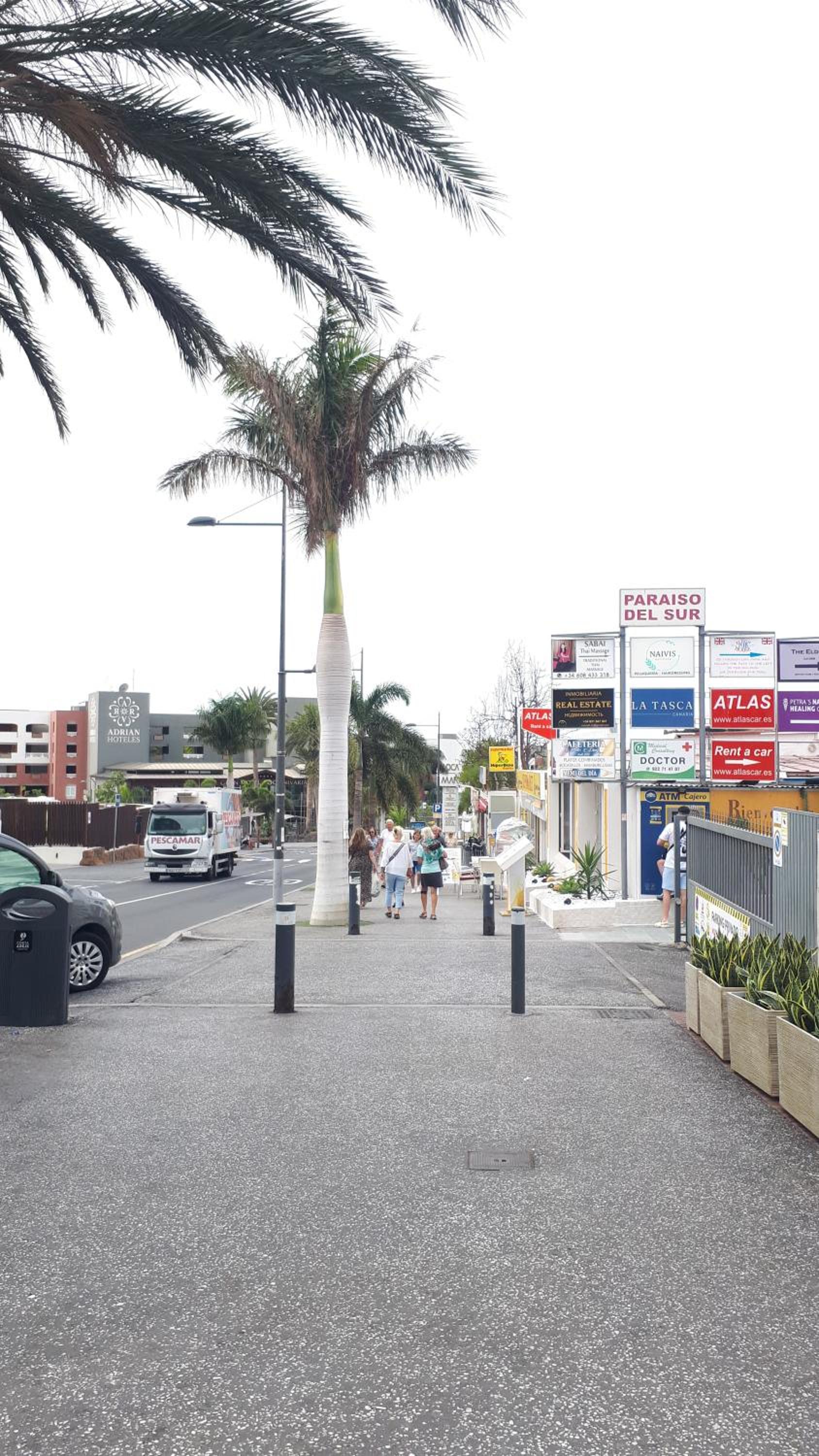 Sunset Ocean View Apartment - Playa Paraiso
