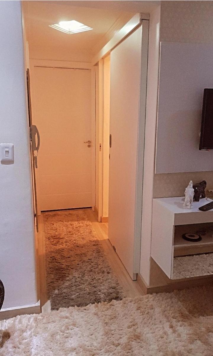 Apartamento compartilhado comigo mais 2 felinos