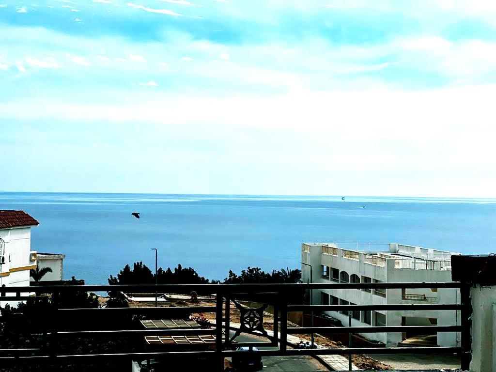 Montazah seaside homes