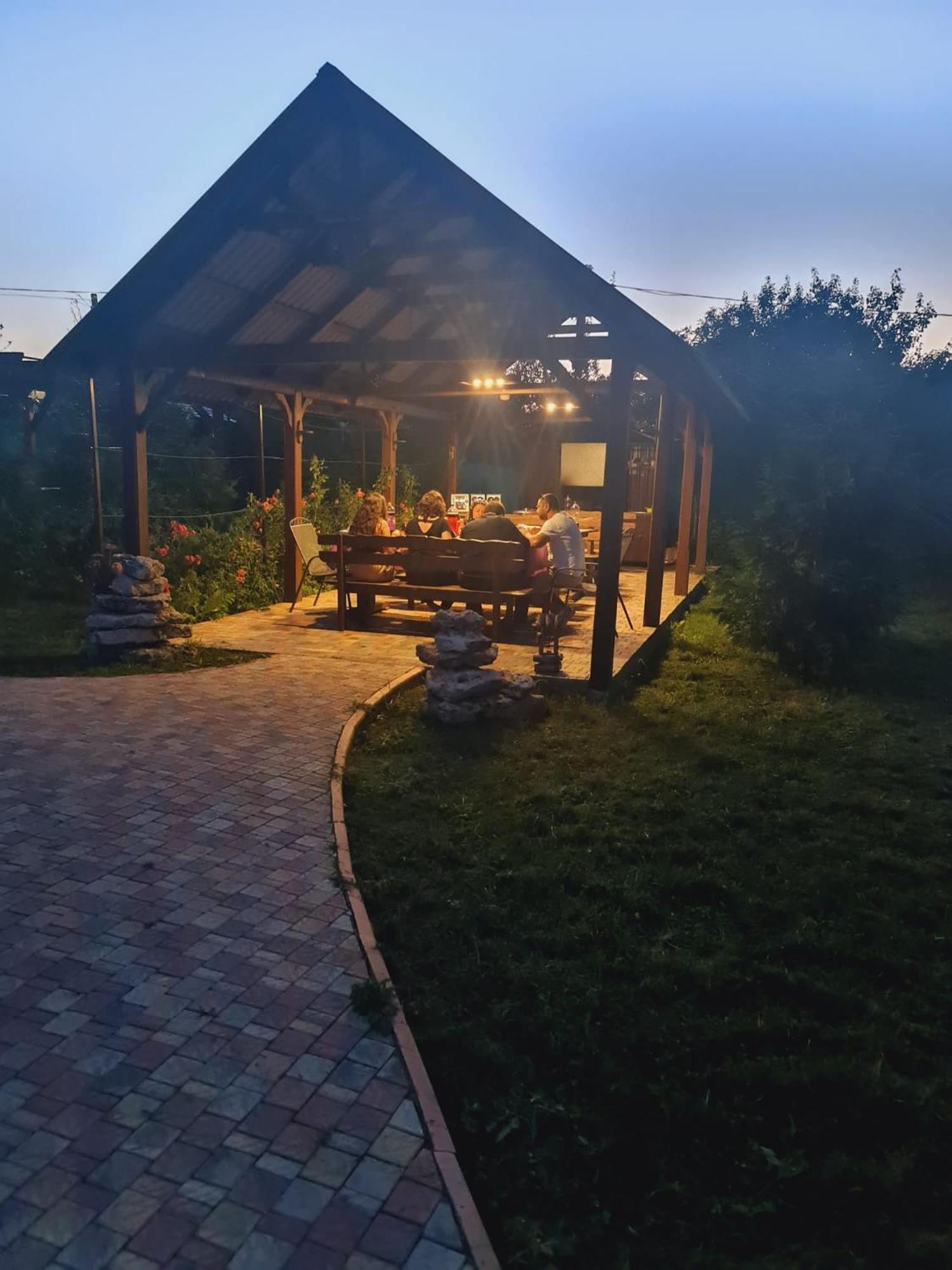 Pensiunea turistică MUZE view 4