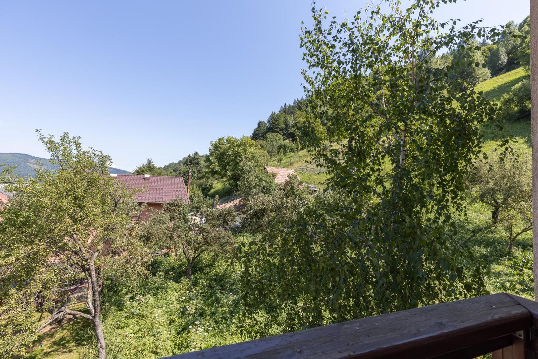 Photo 43