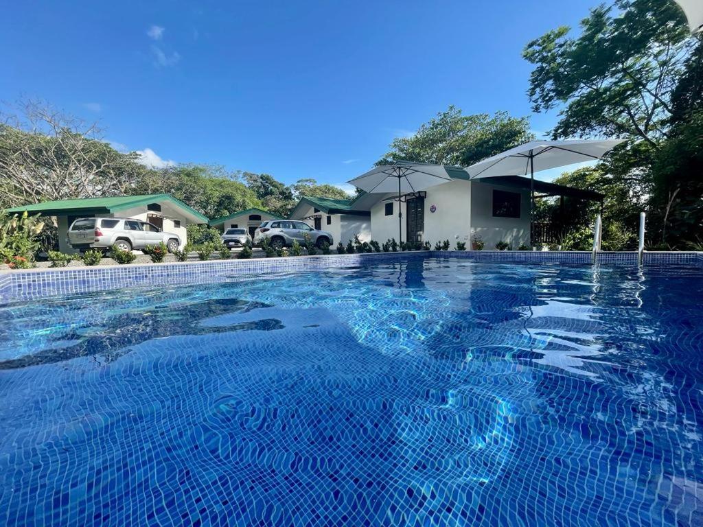 Jungle Passion Lodge
