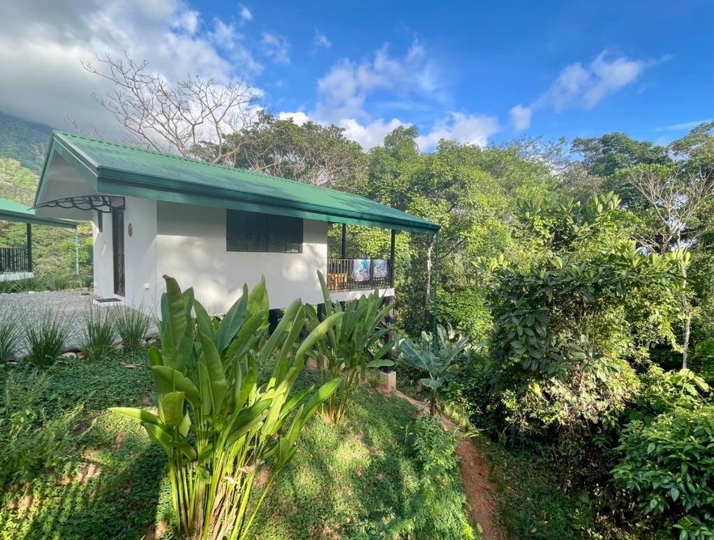 Jungle Passion Lodge