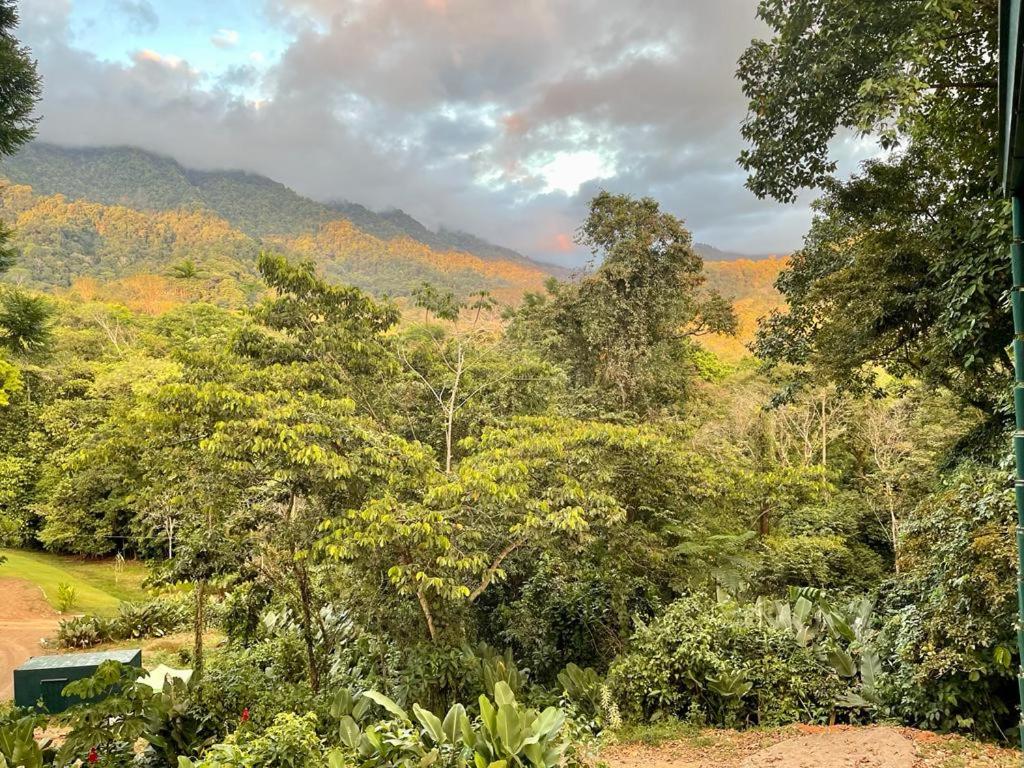 Jungle Passion Lodge