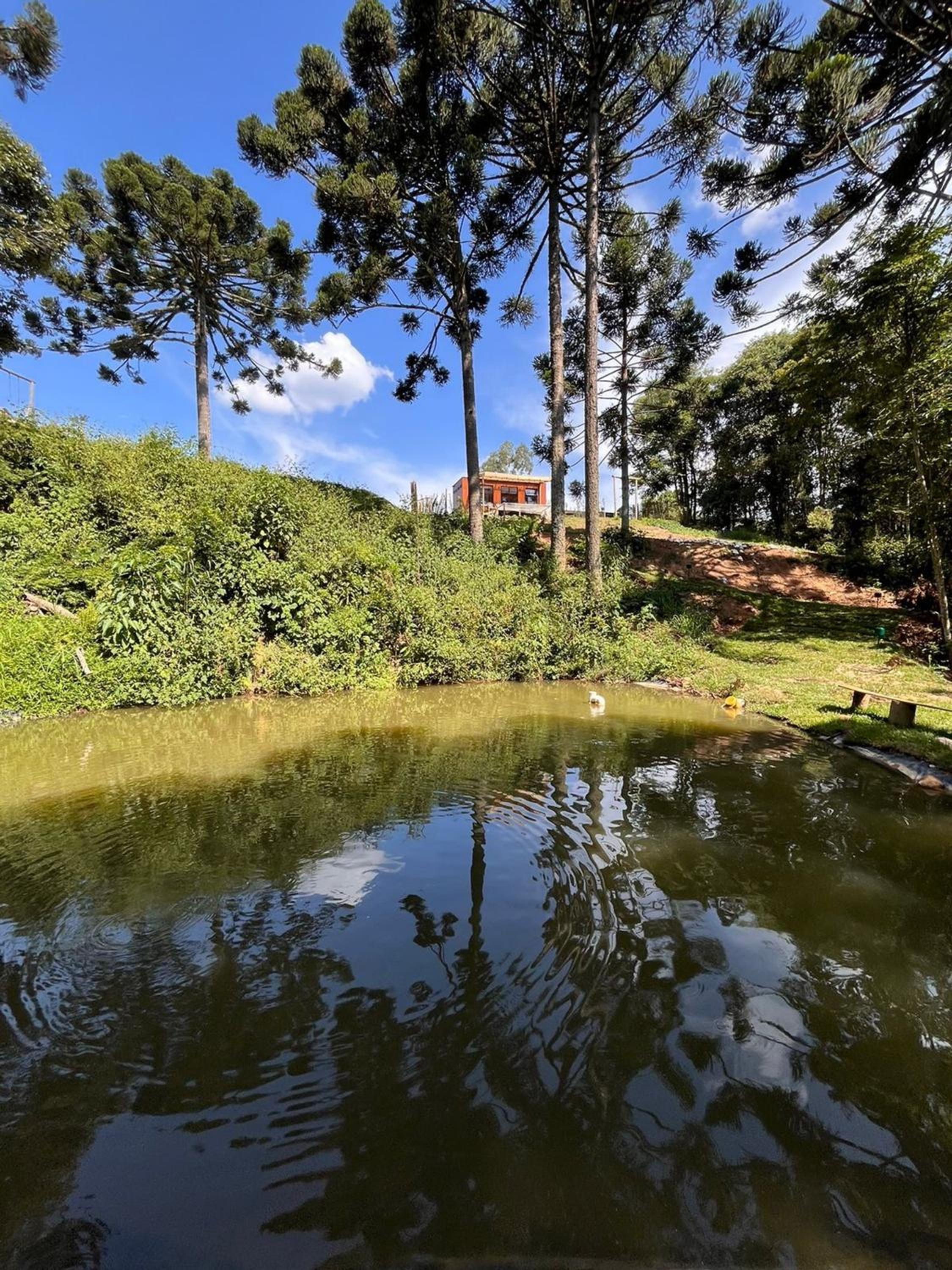 Reserva Cabanas