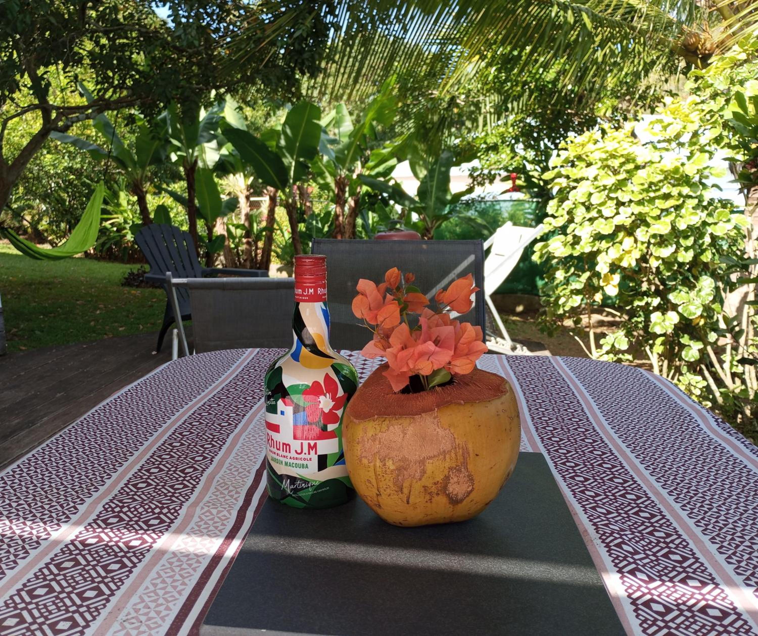 Les poinsettias