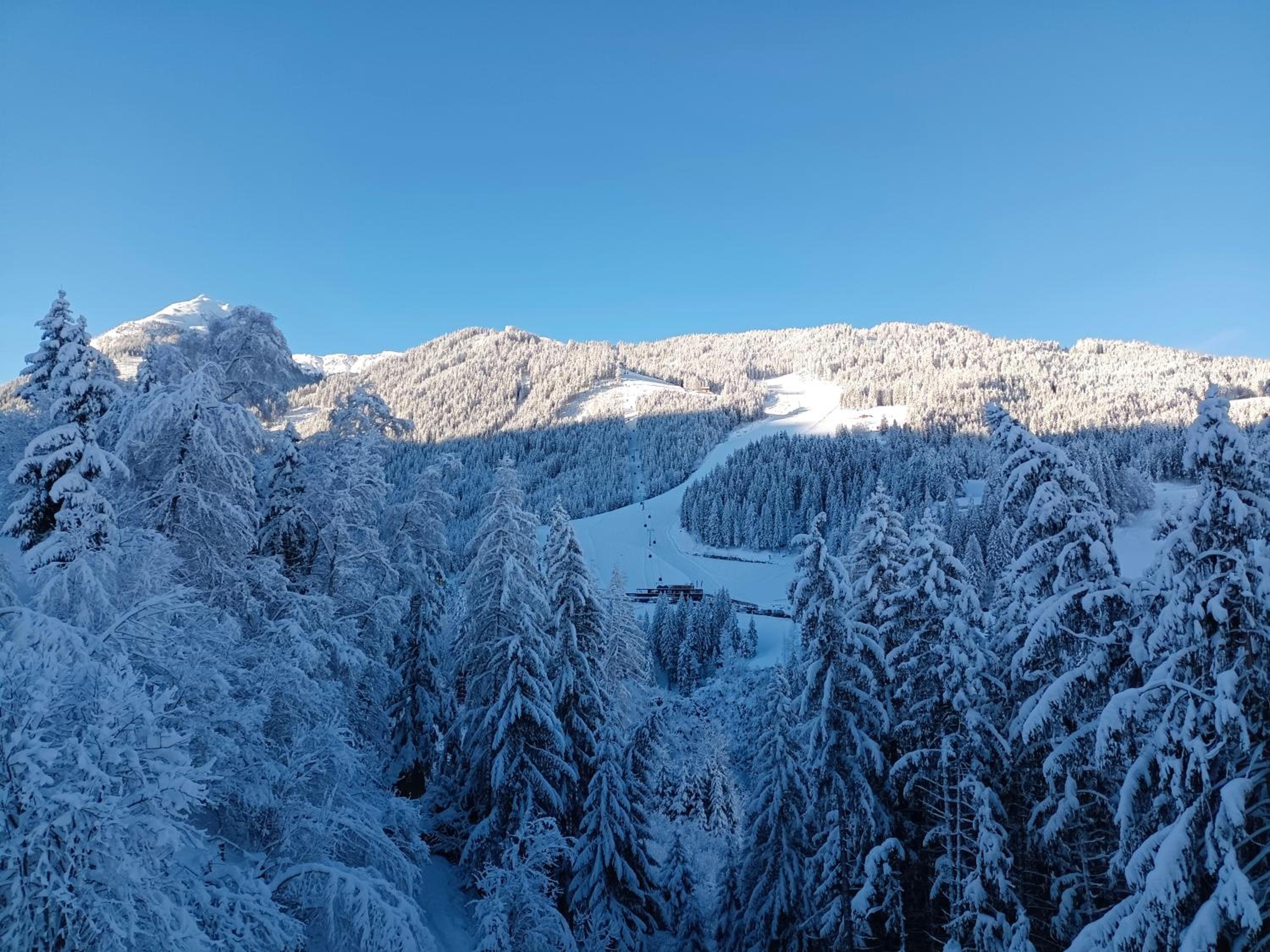 Chalet Leni