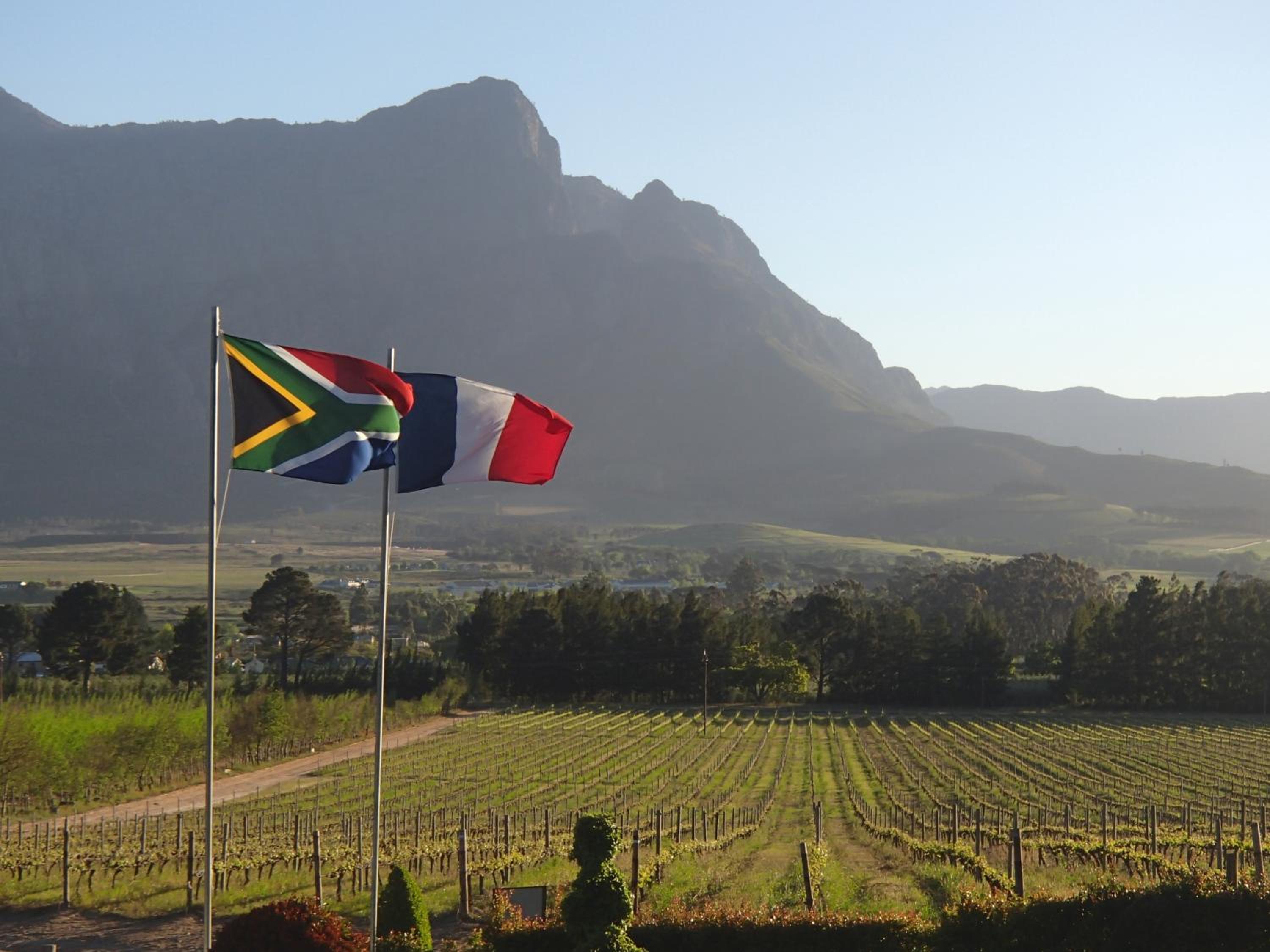 Topiary Wine Estate & Cottages