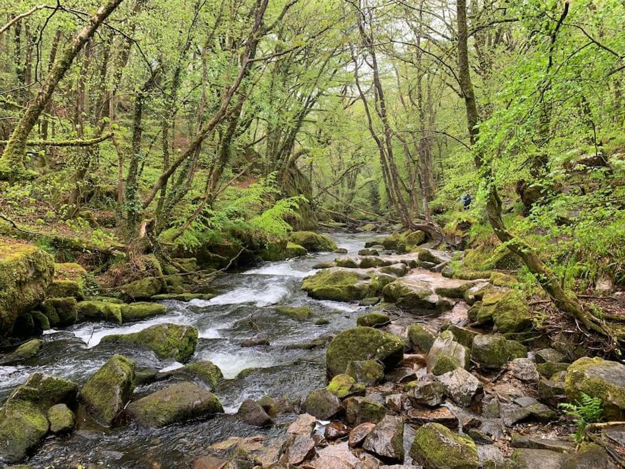 Looe Vacations - Horseshoe Cottage - Property Image 37