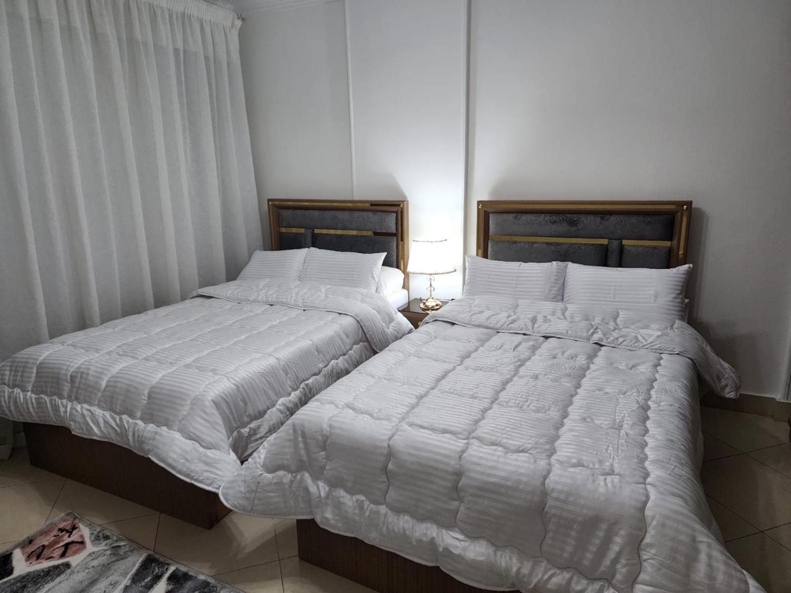 Luxury Apartment near cairo airport