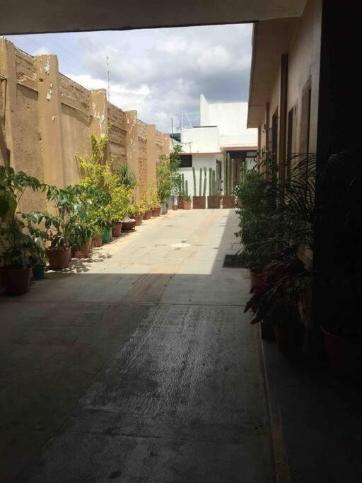 Los Huacales Apartamento view 4