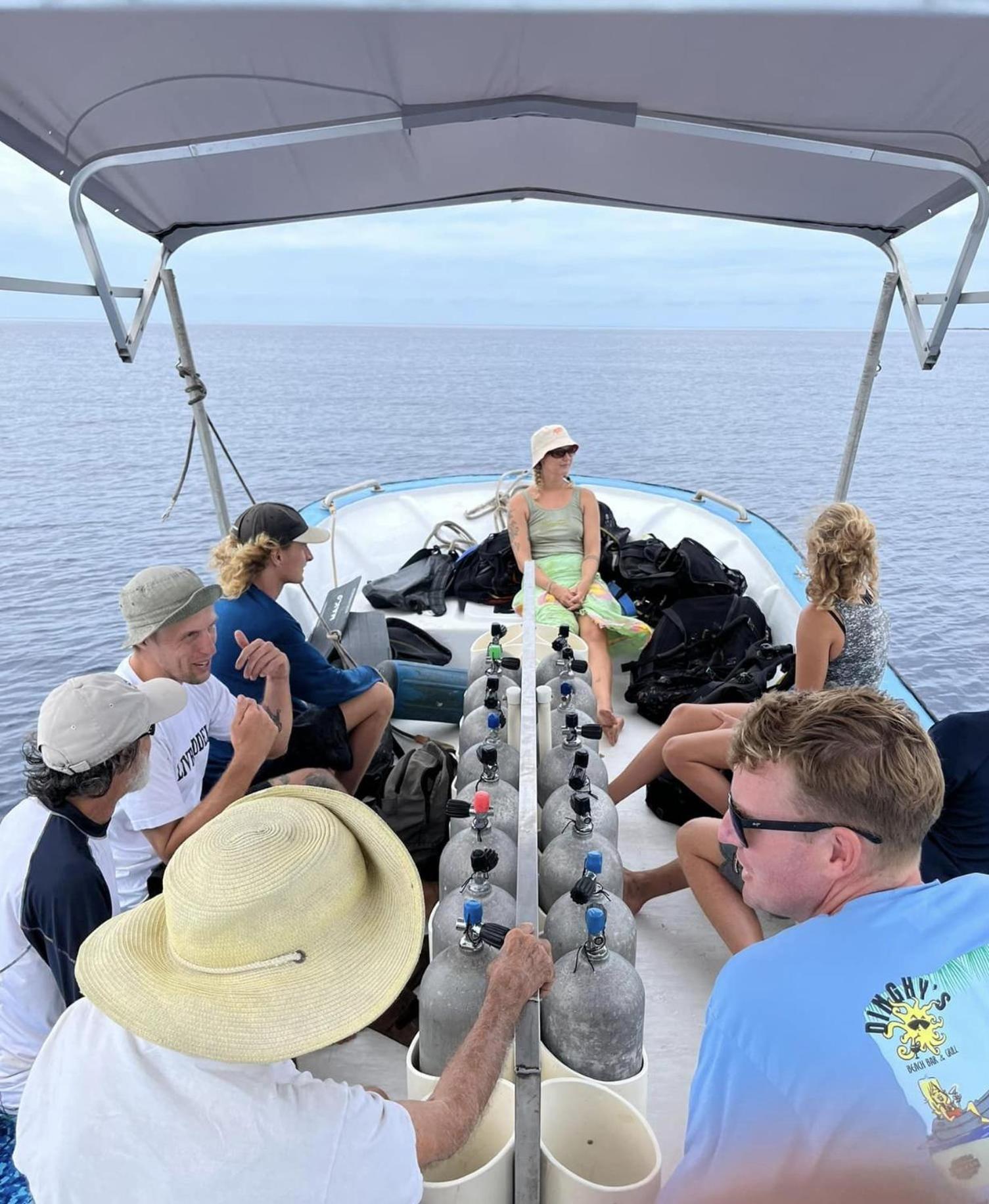 Island Hopper