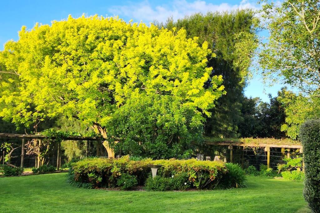 Avocado Orchard Retreat!