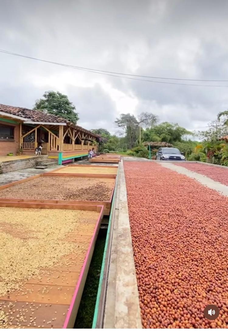 Finca Cafetera Madrigal - Café Sortiz