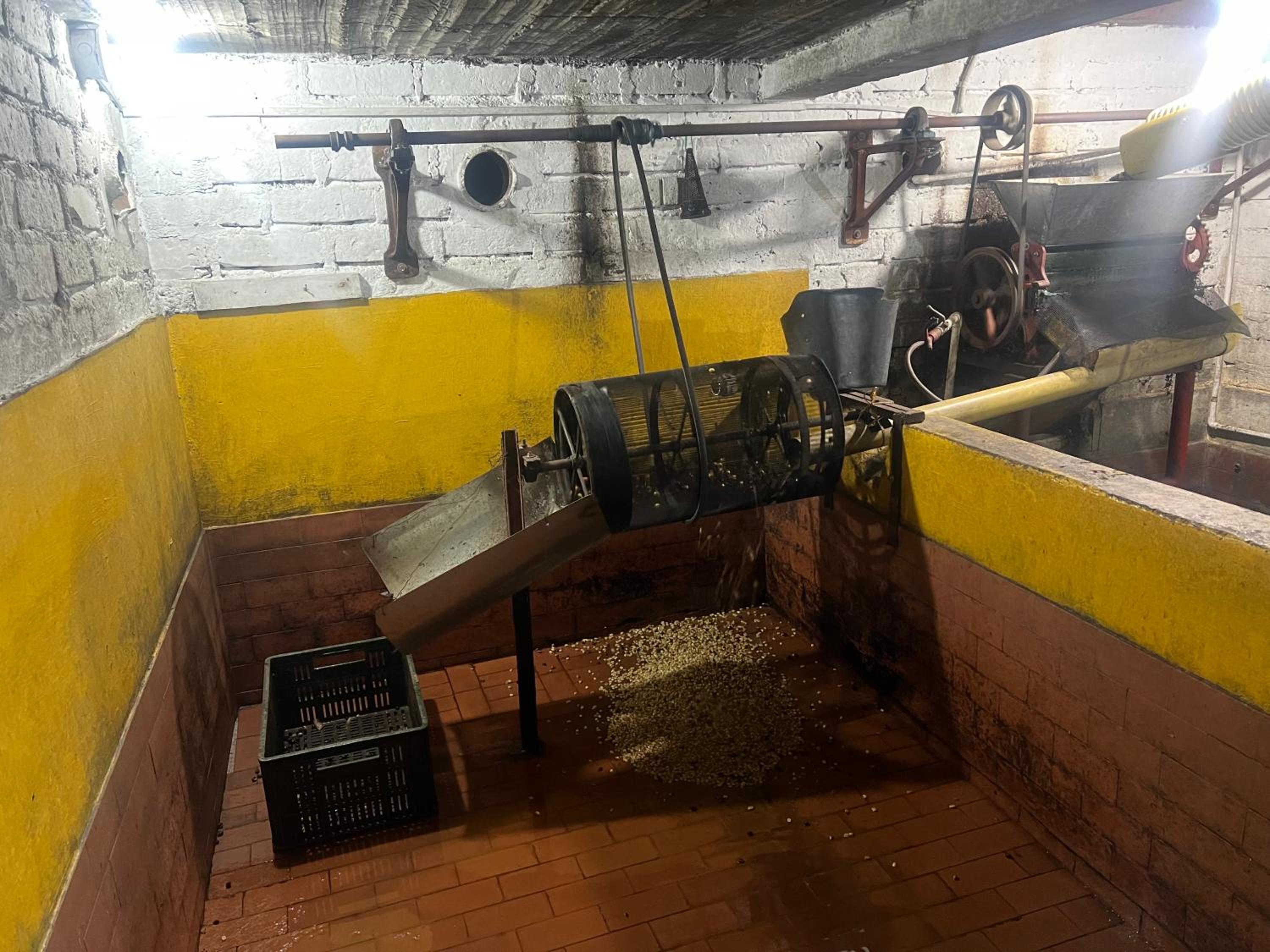 Finca Cafetera Madrigal - Café Sortiz