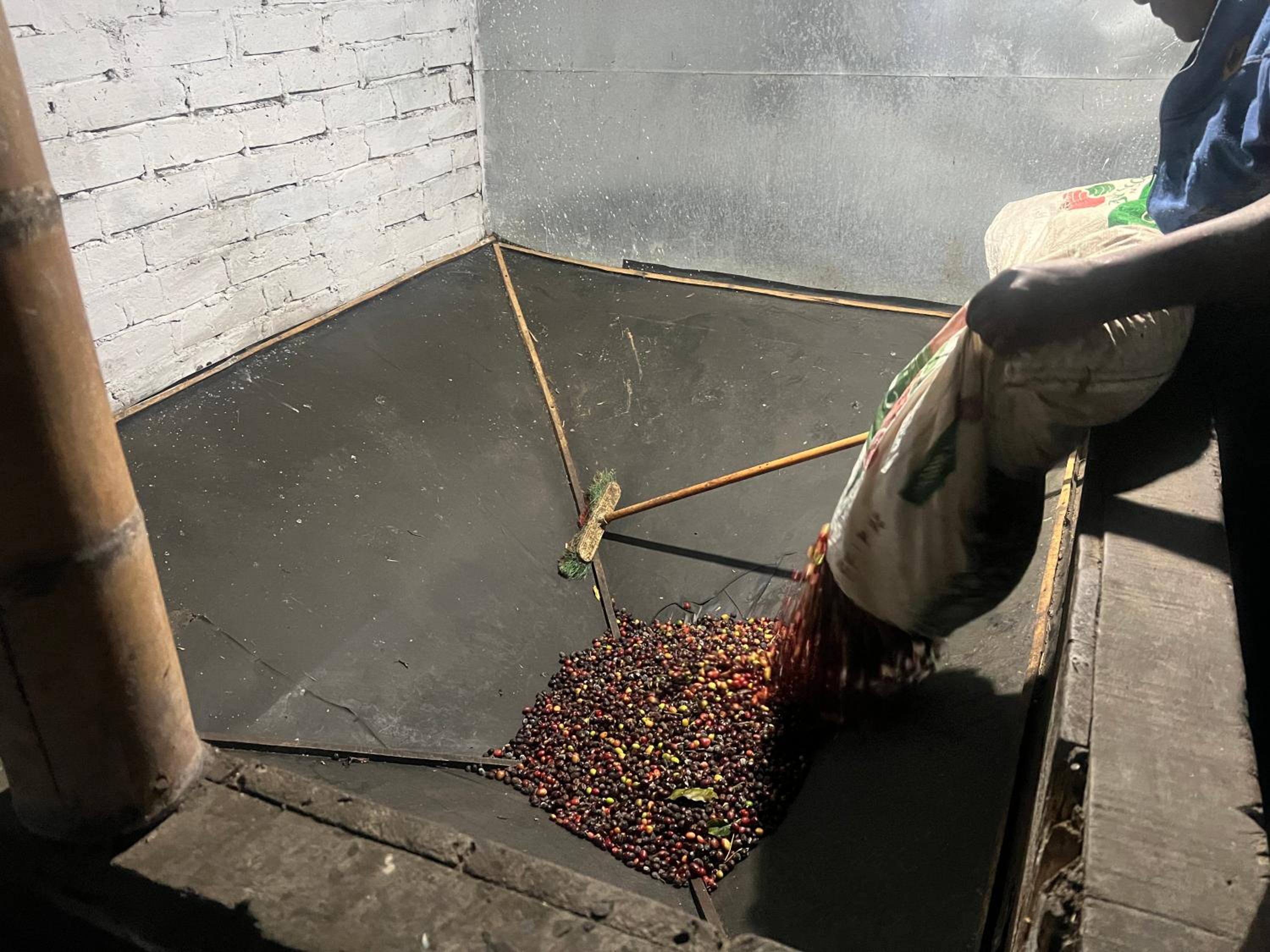 Finca Cafetera Madrigal - Café Sortiz