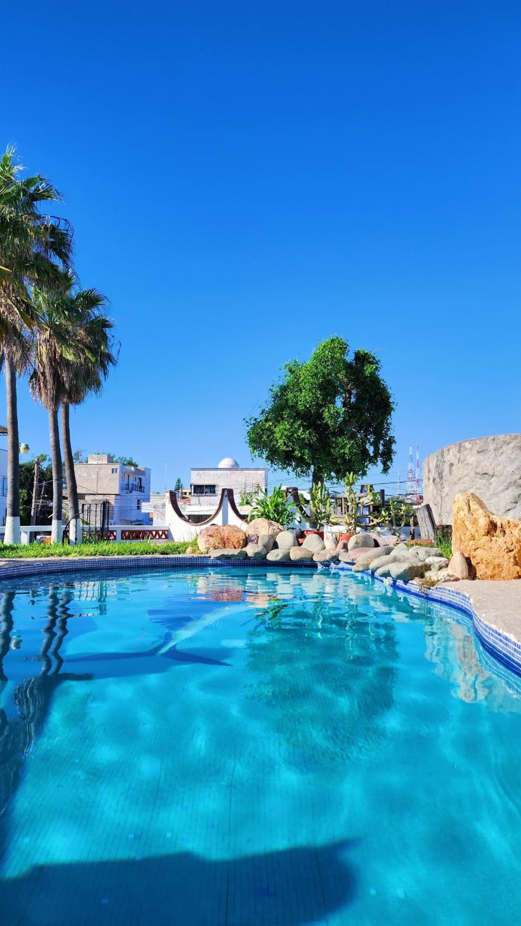 Hill House Mazatlan - Bed & Breakfast view 4