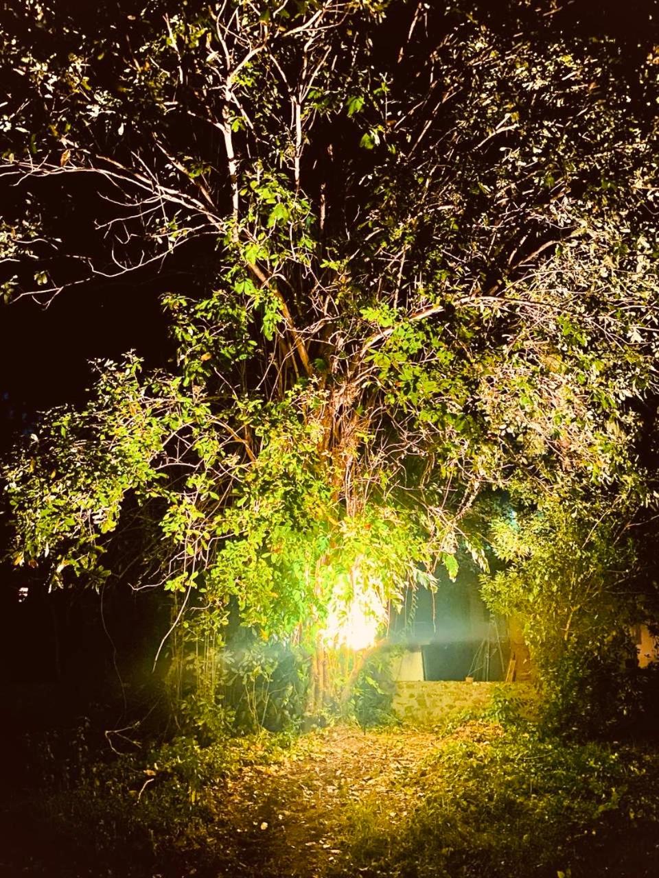 Stuart House Tangalle