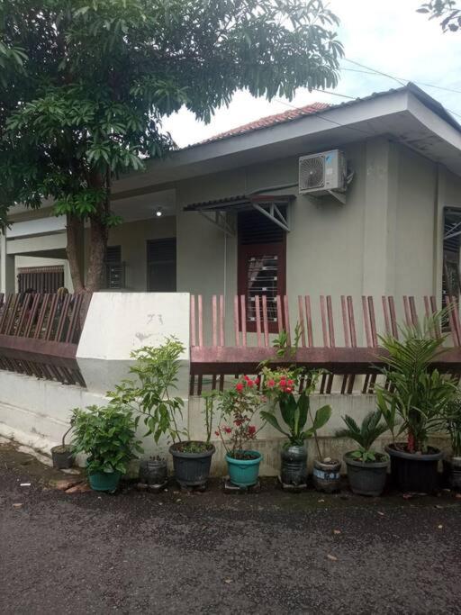 Homestay Mutiara