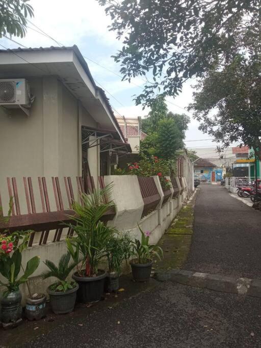 Homestay Mutiara