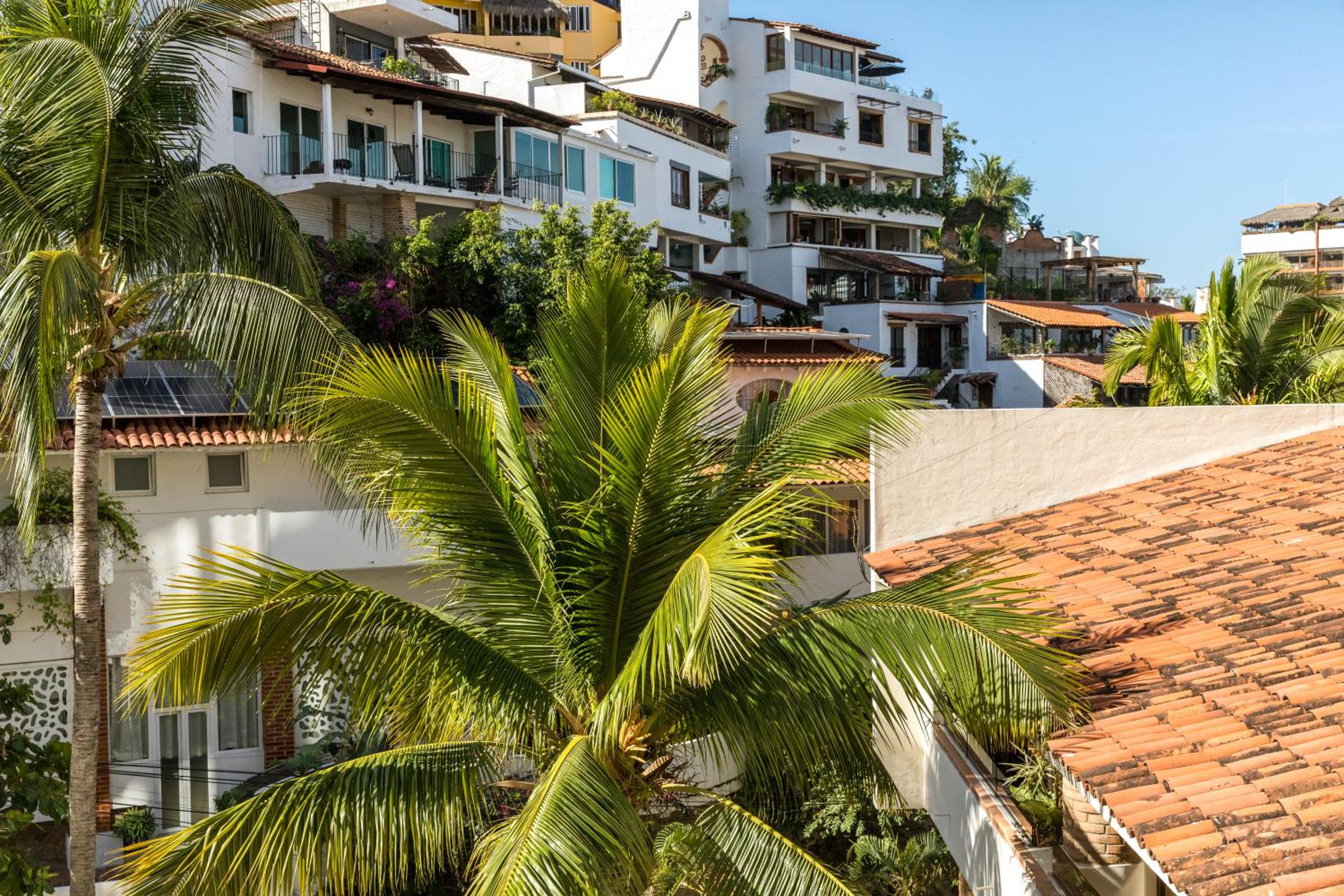 BEST Views of PV-Banderas Bay from Rooftop Infinity Pool