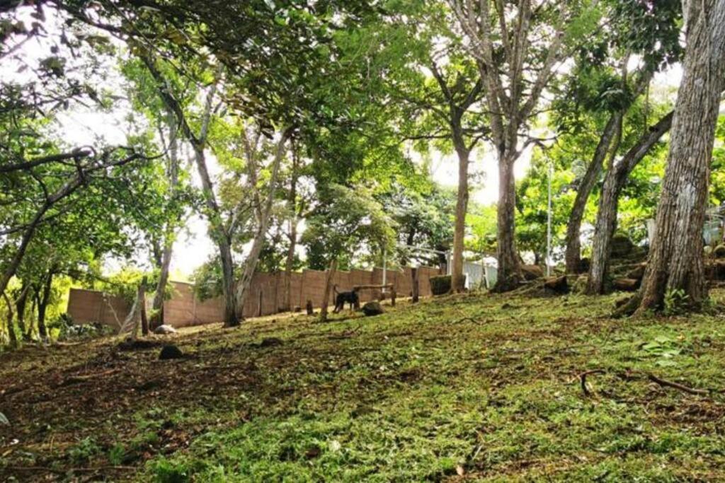 Jaco, Peace Home around nature