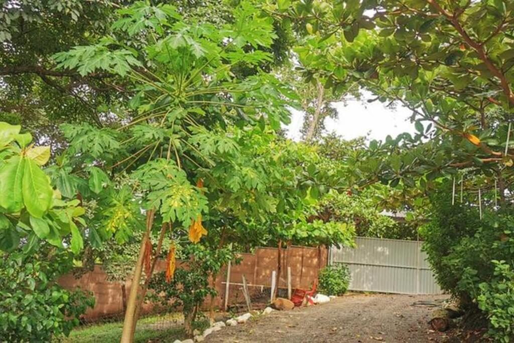 Jaco, Peace Home around nature