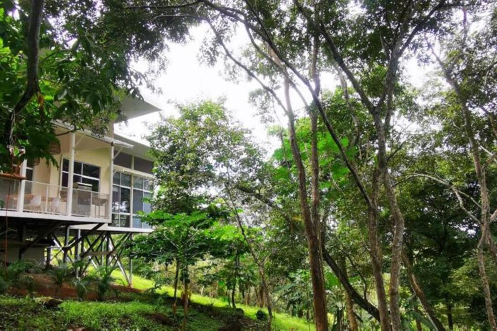 Jaco, Peace Home around nature