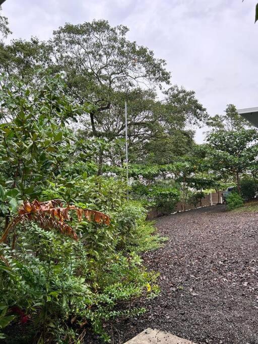 Jaco, Peace Home around nature