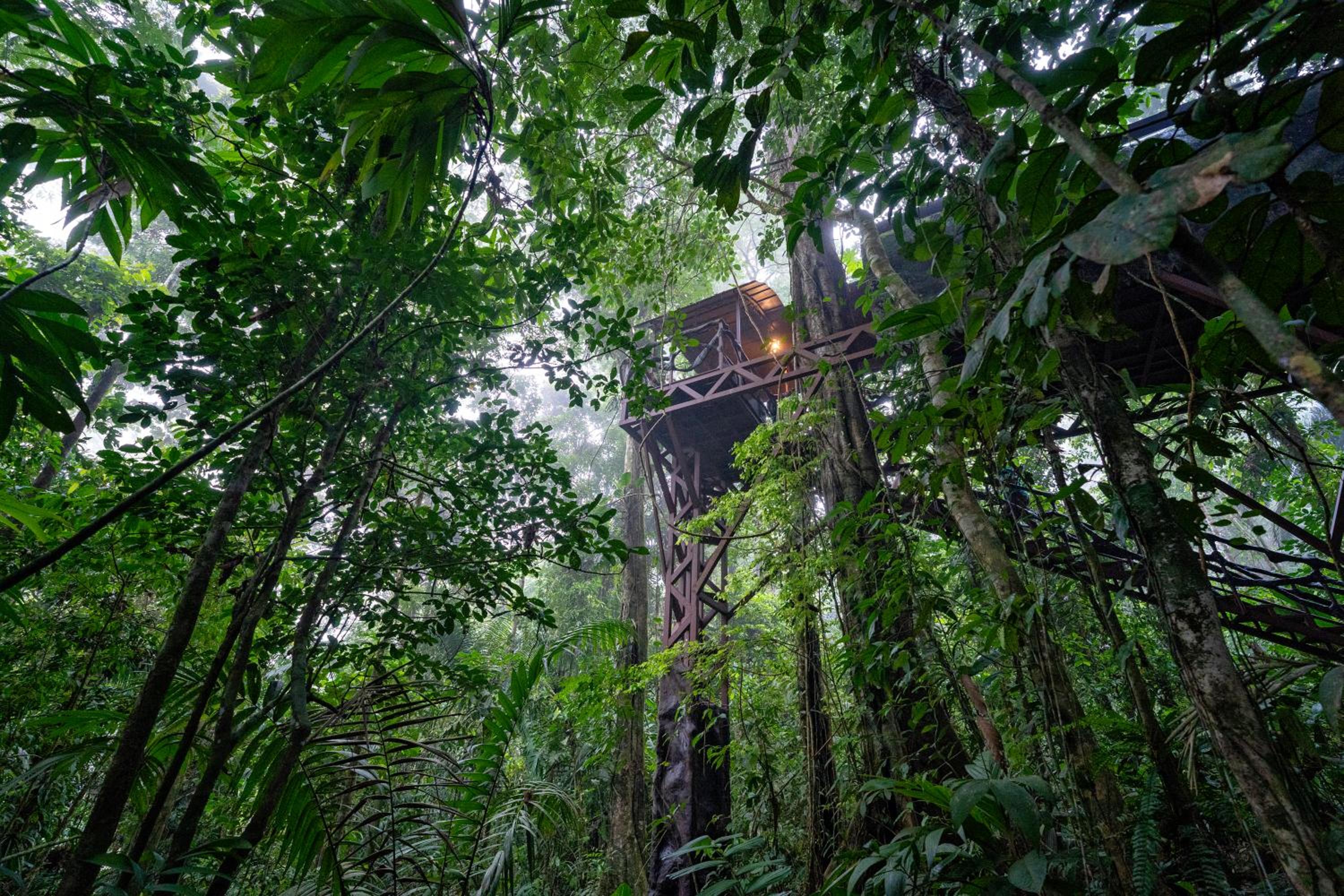 Maquenque Lodge