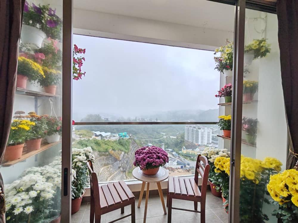 Kensington Sunrise sg, Palas Horizon,kea farm