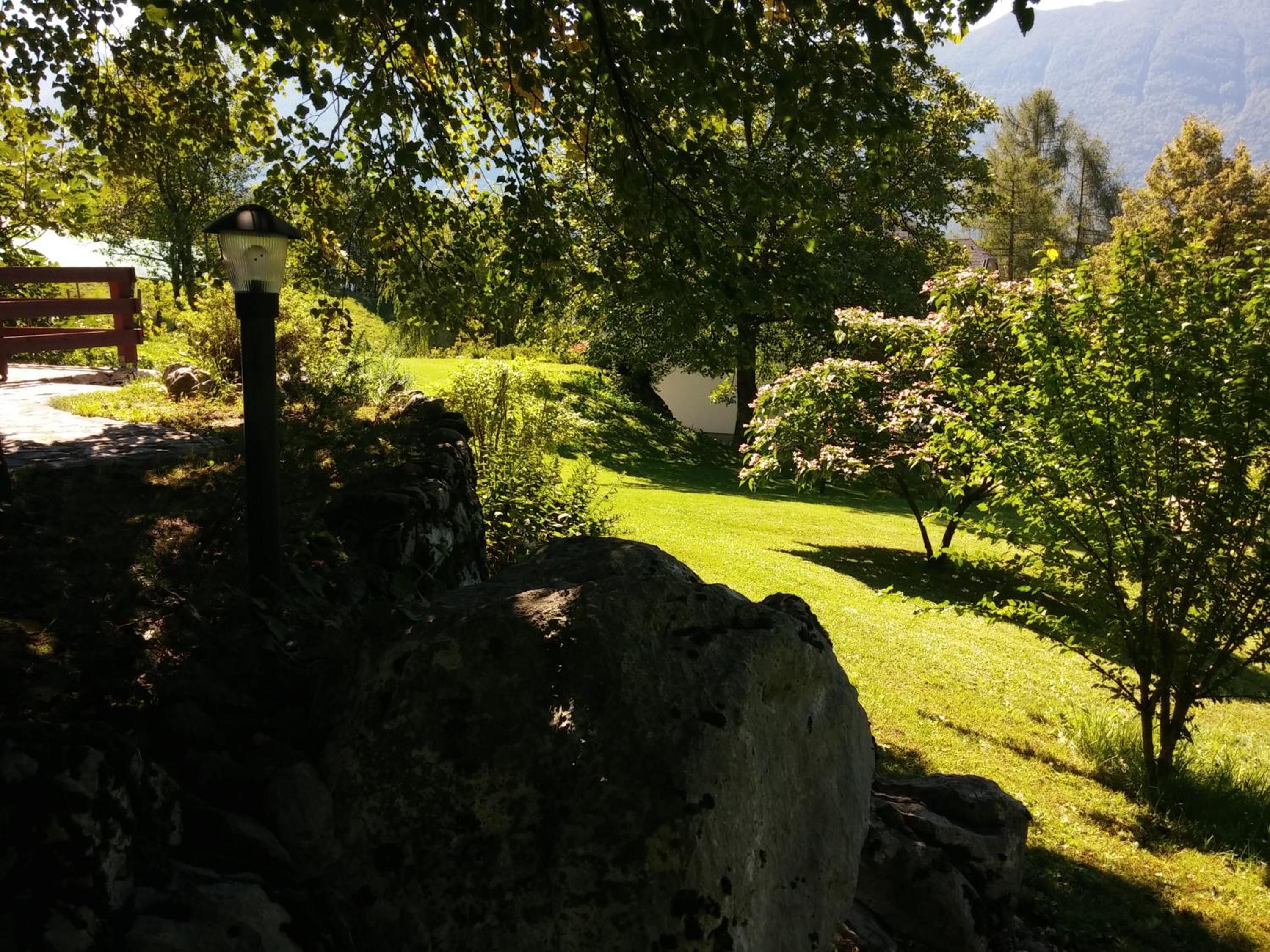 Photo 19