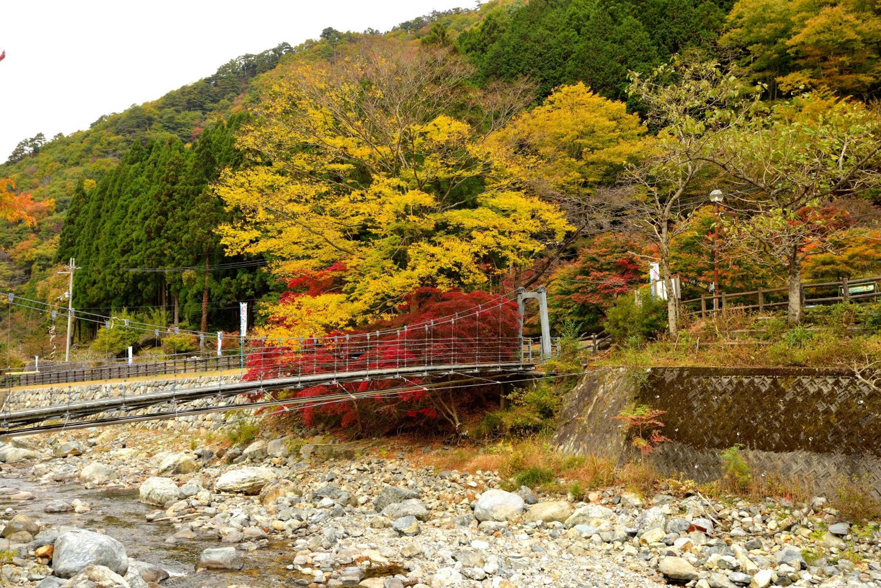 MONJUNO FUKUCHI