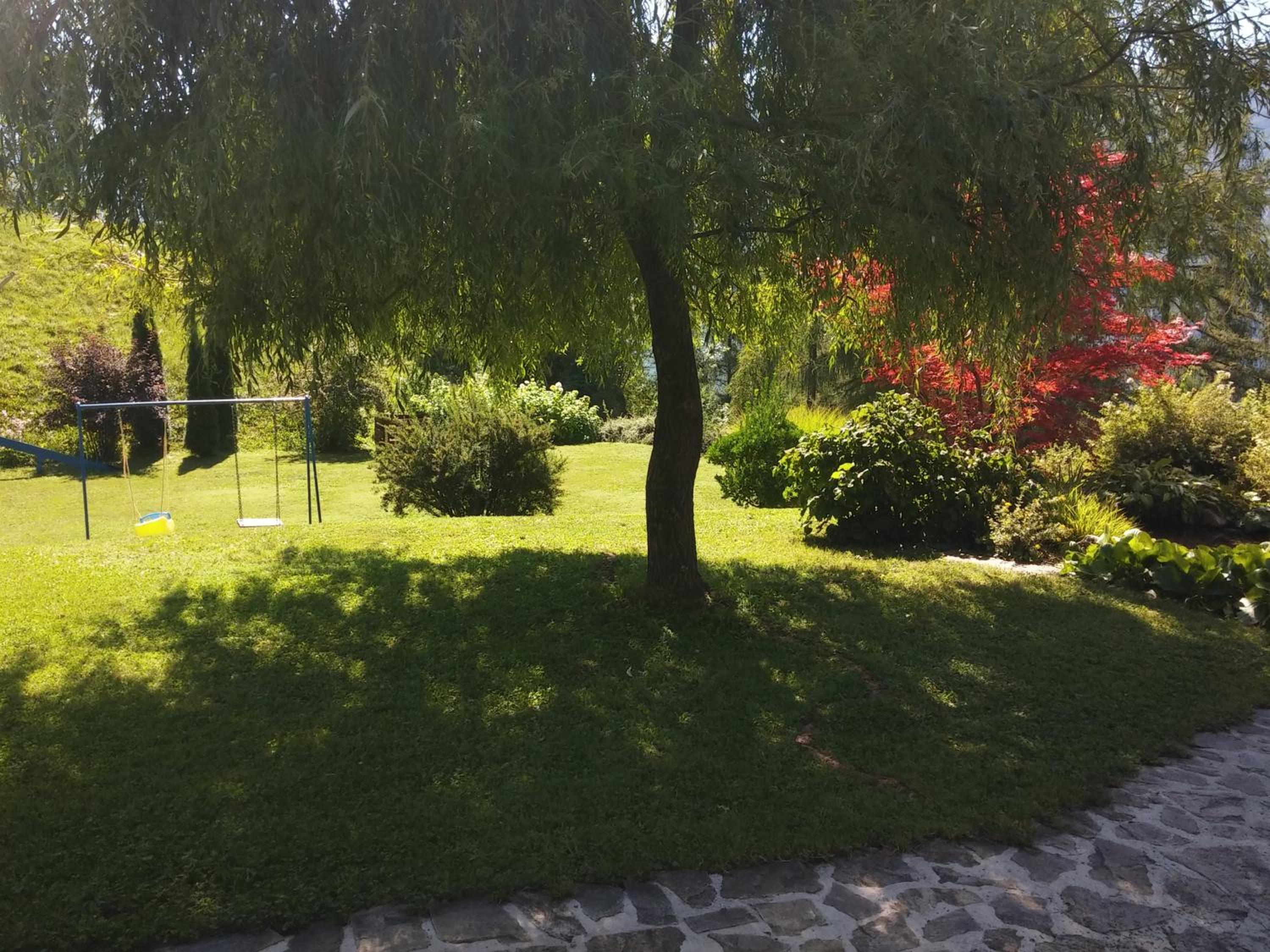 Photo 21