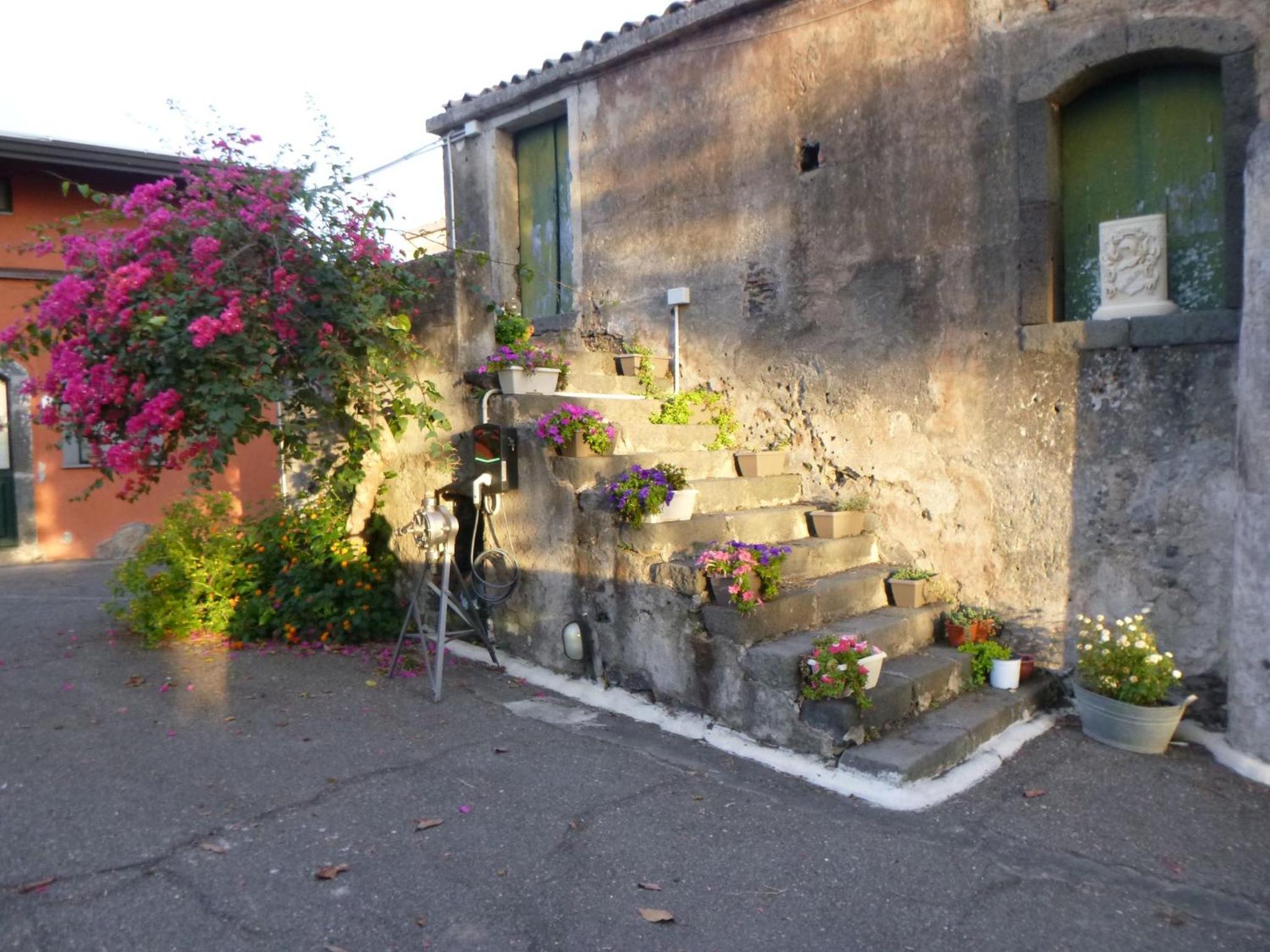 Photo 36