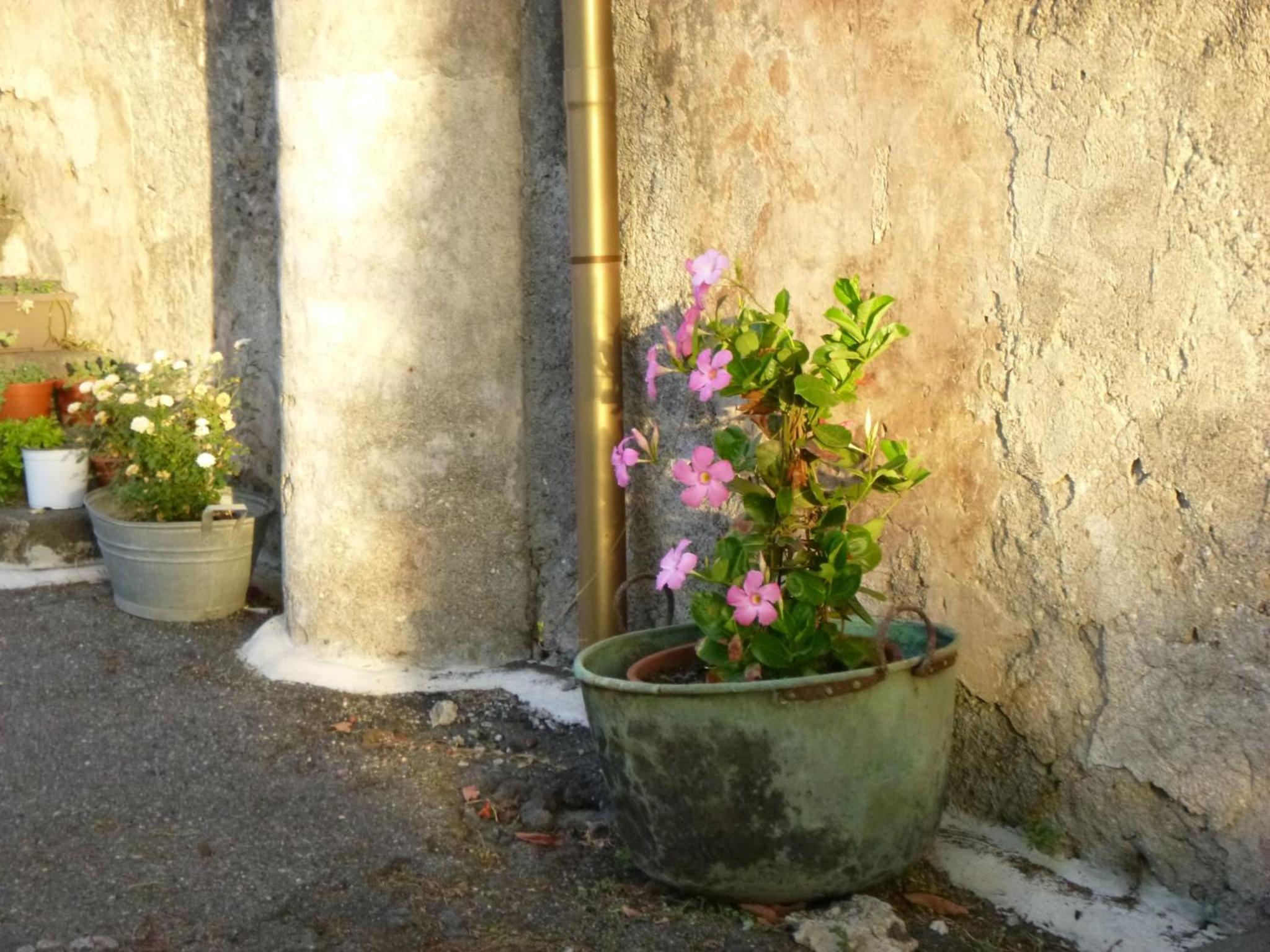 Photo 33
