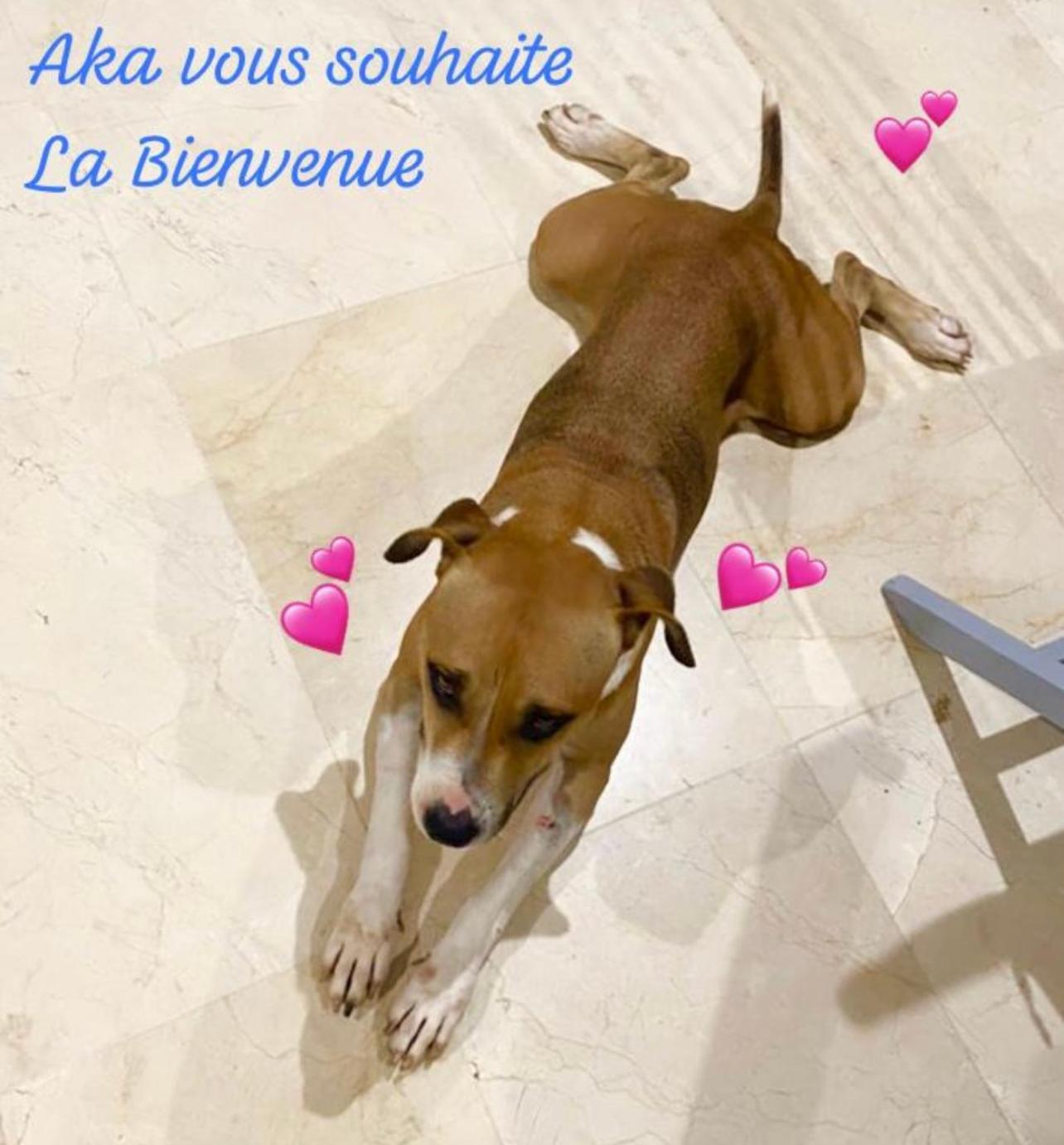 Photo 29